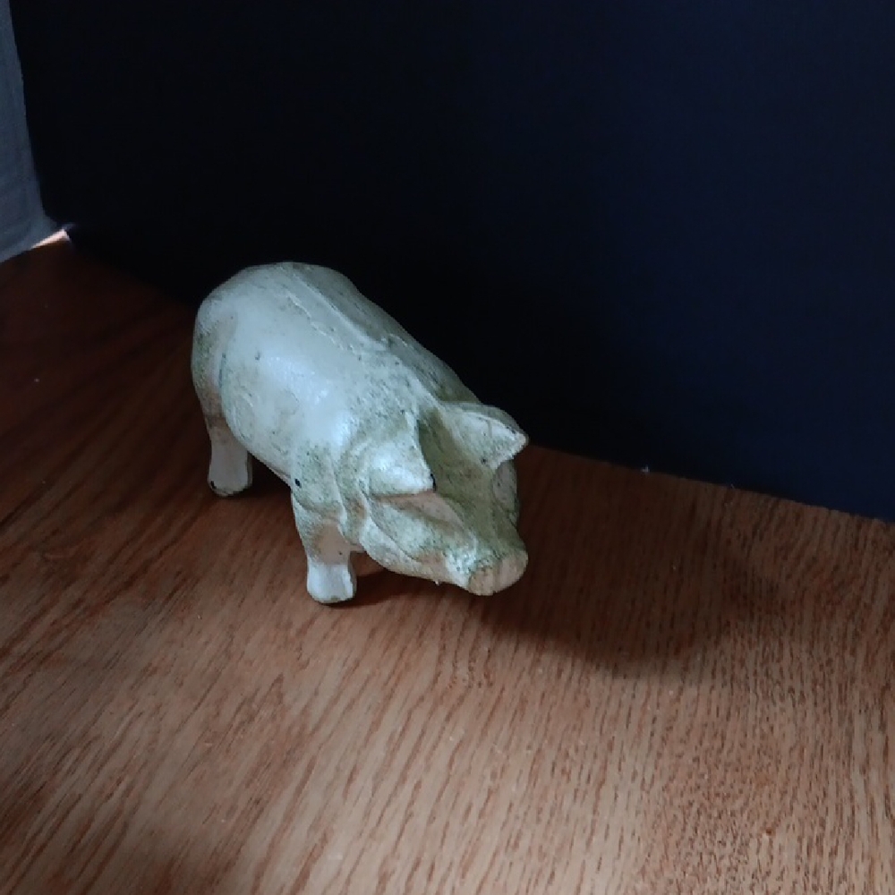 Cast Iron PIG